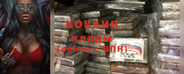 твердый Арсеньев