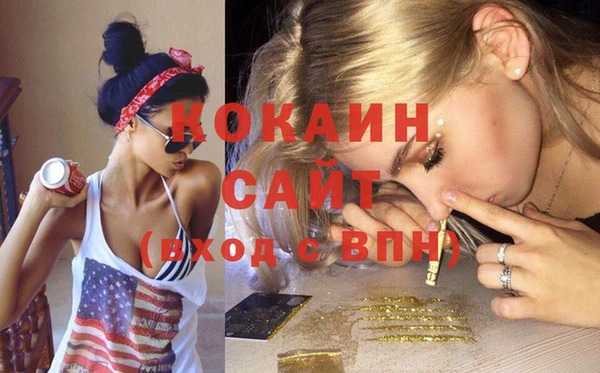 хмурый Пересвет