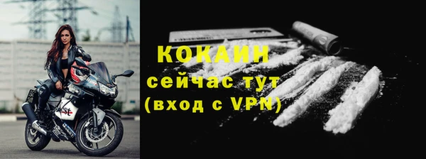 твердый Арсеньев
