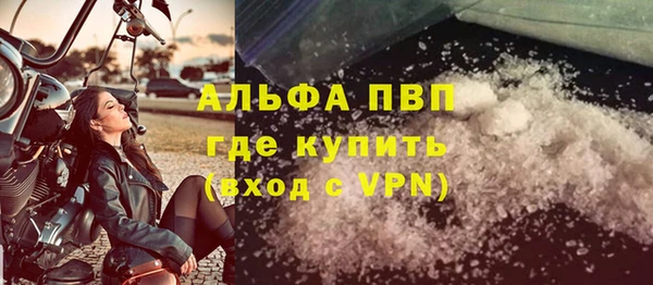 твердый Арсеньев