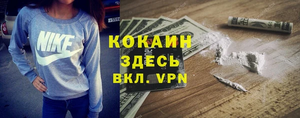 крисы Аркадак