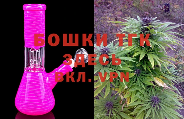 крисы Аркадак