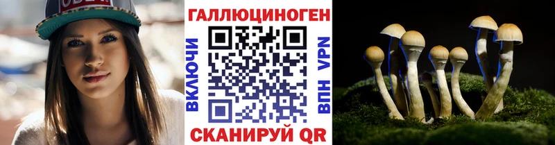 Псилоцибиновые грибы мицелий  дарнет шоп  Белая Холуница 